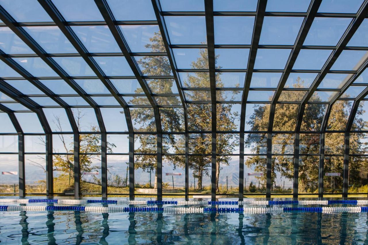 Tsinandali Estate, A Radisson Collection Hotel エクステリア 写真 Swimming pool with a retractable roof