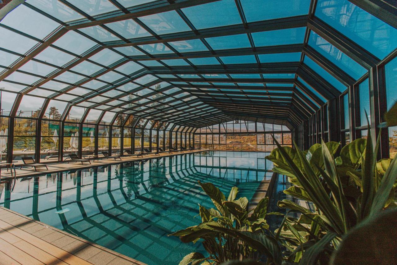 Tsinandali Estate, A Radisson Collection Hotel エクステリア 写真 Swimming pool at the hotel