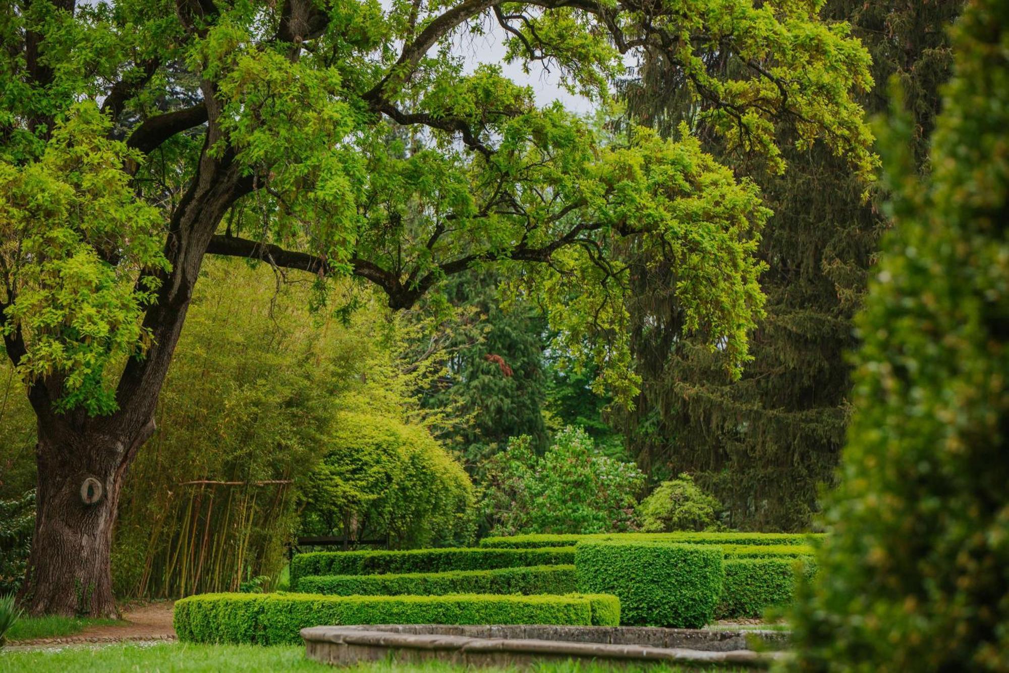 Tsinandali Estate, A Radisson Collection Hotel エクステリア 写真