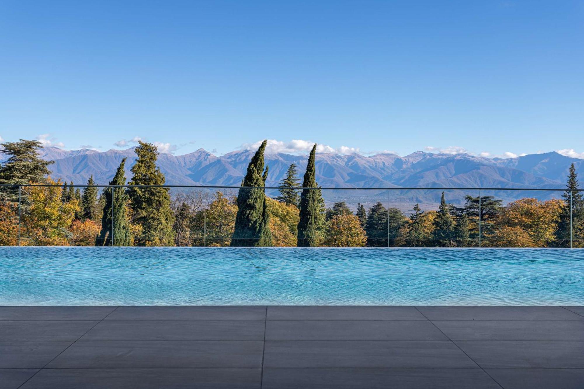 Tsinandali Estate, A Radisson Collection Hotel エクステリア 写真