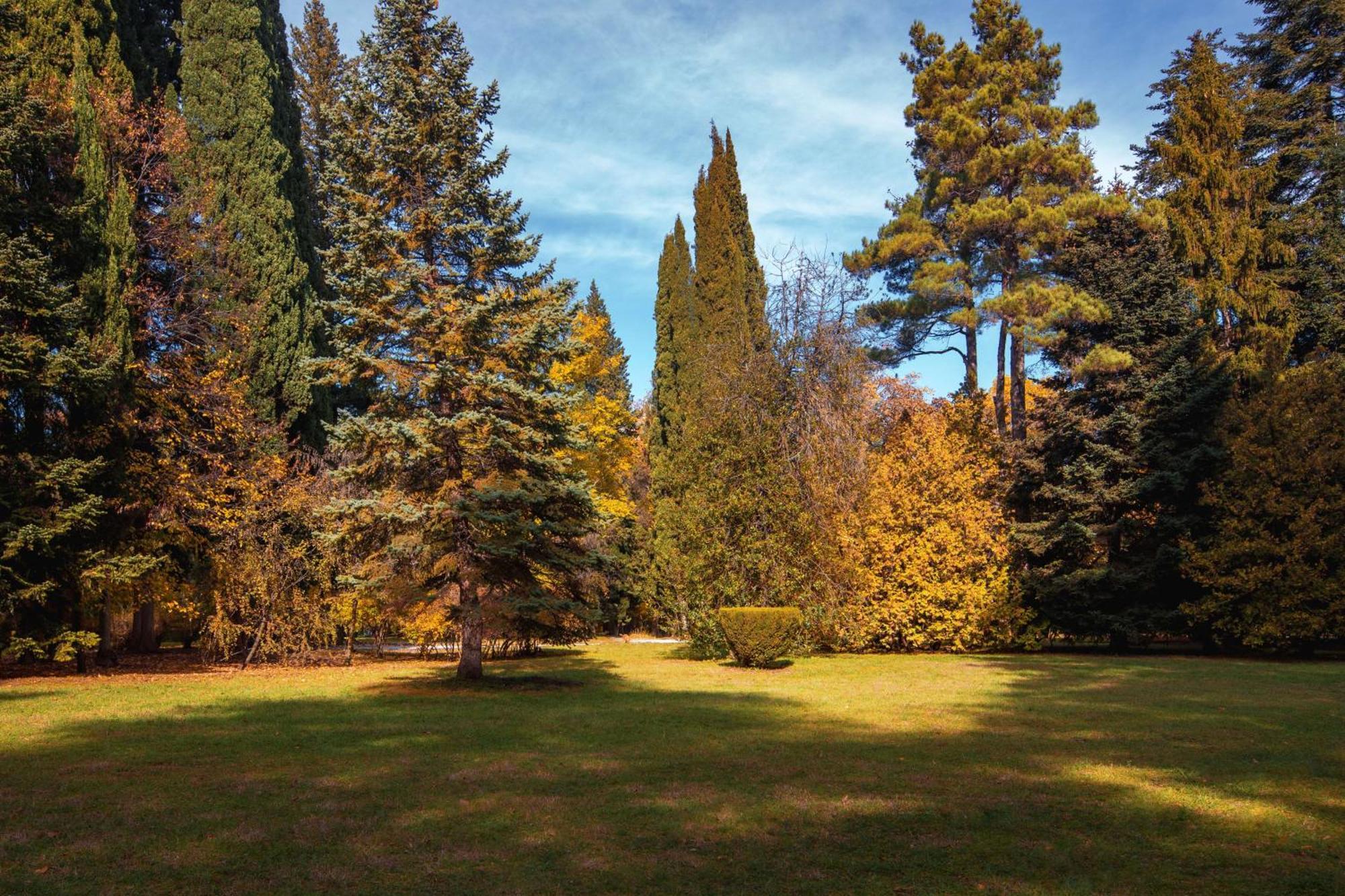 Tsinandali Estate, A Radisson Collection Hotel エクステリア 写真