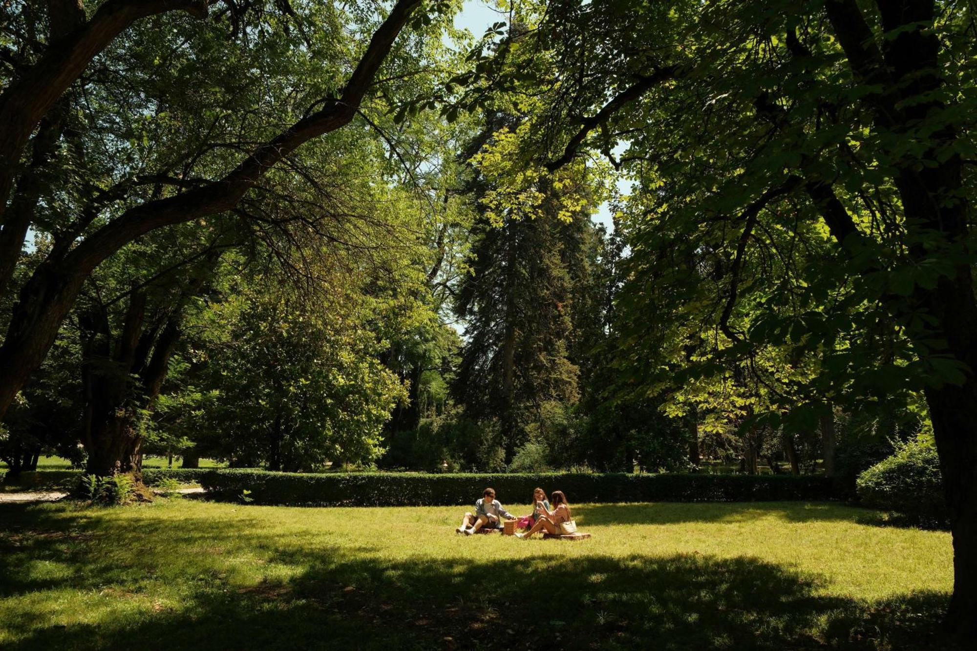 Tsinandali Estate, A Radisson Collection Hotel エクステリア 写真